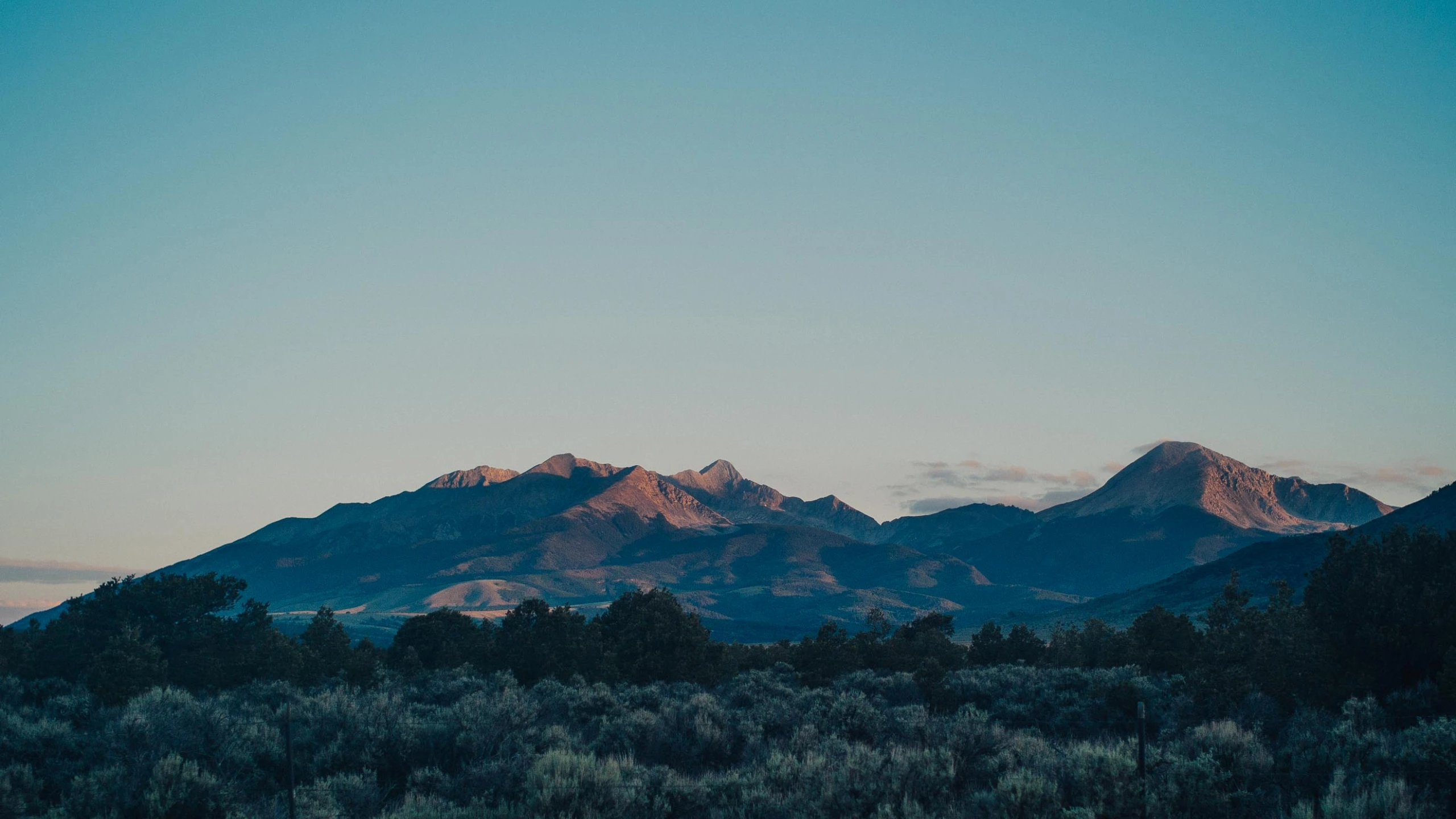 Django--信号、验证码