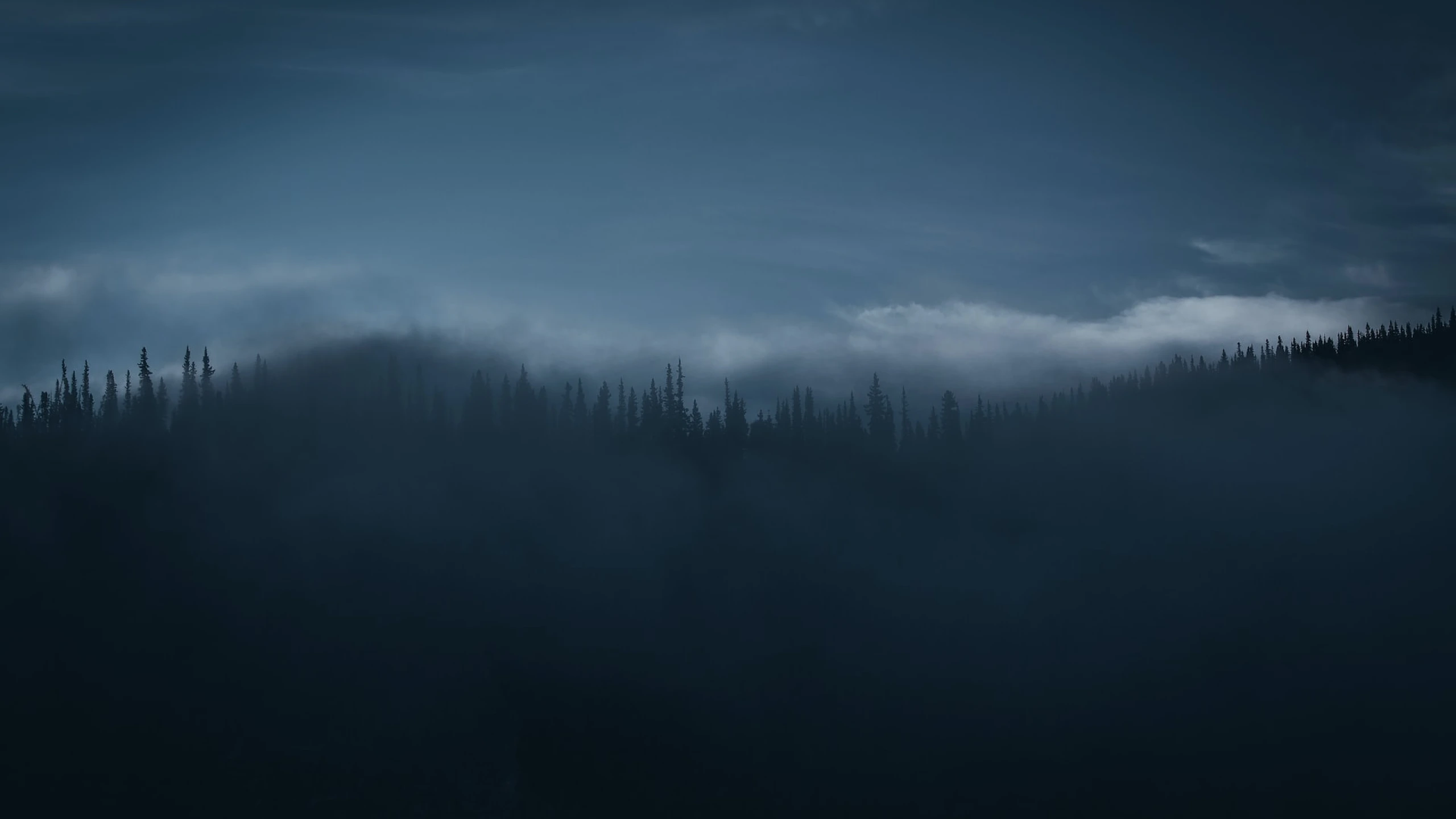 Django--日志处理、路由器