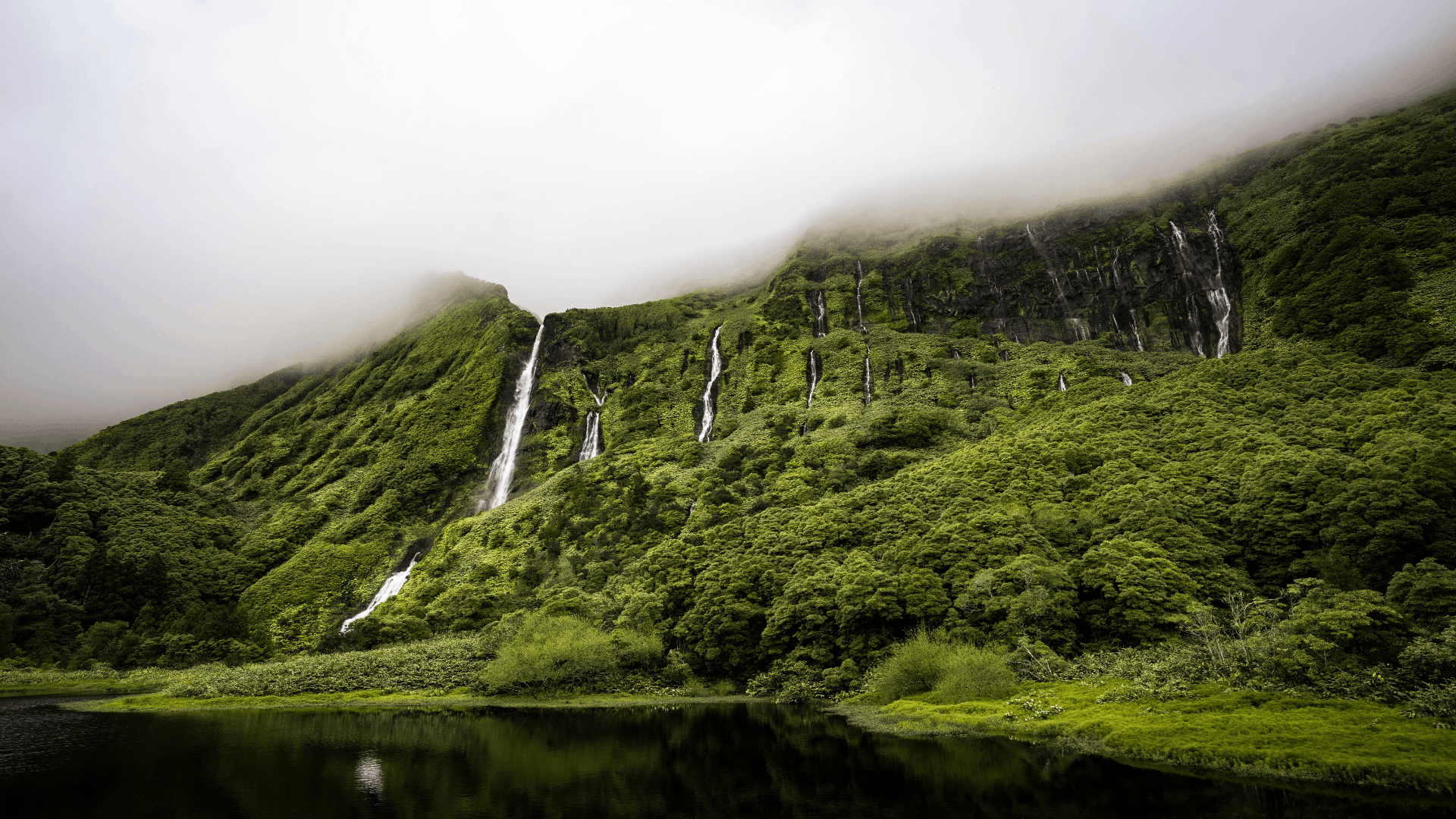 爬虫框架 Scrapy 实战（一）