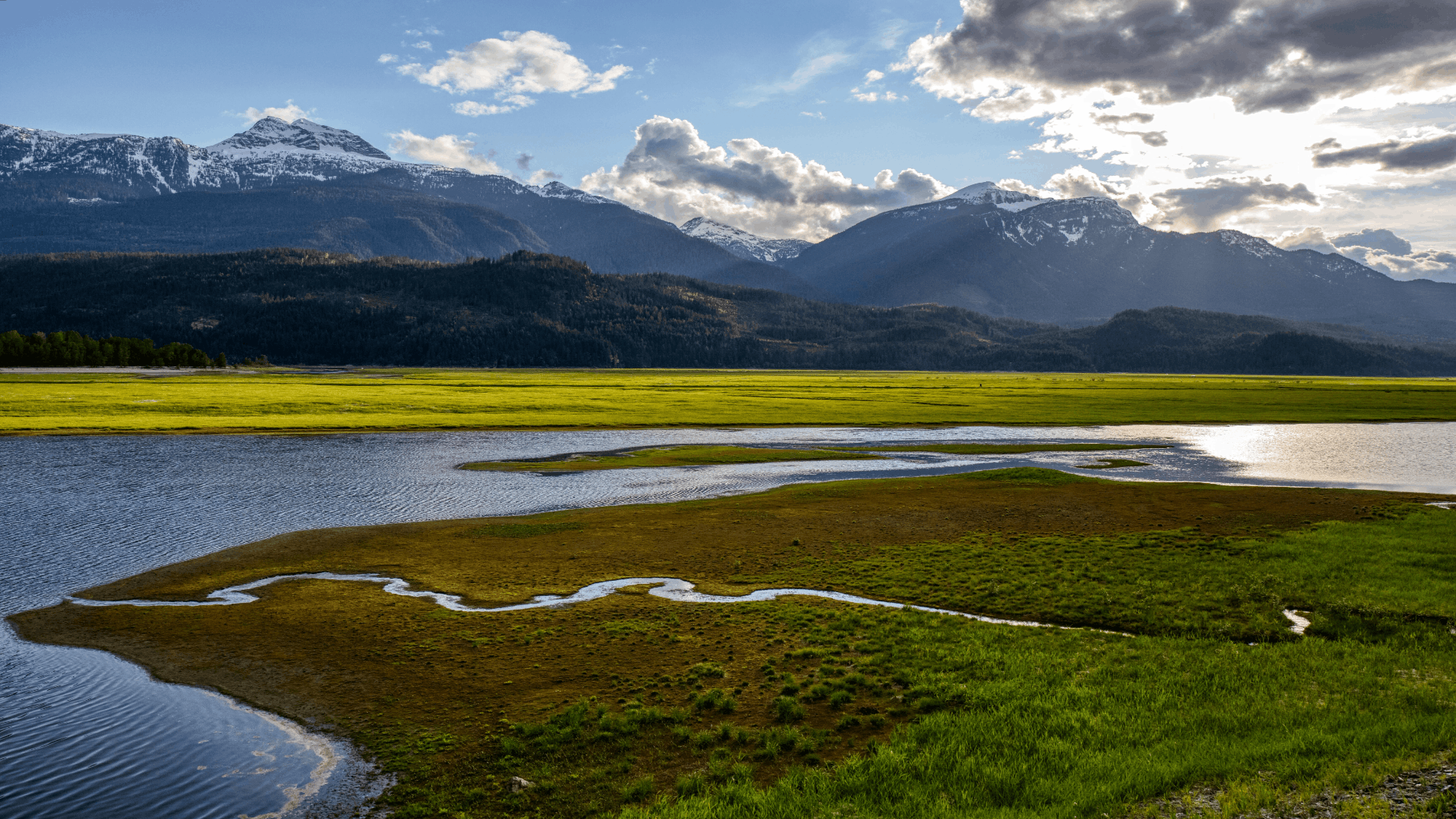 Redis 高可用 -- Cluster（写操作负载均衡）