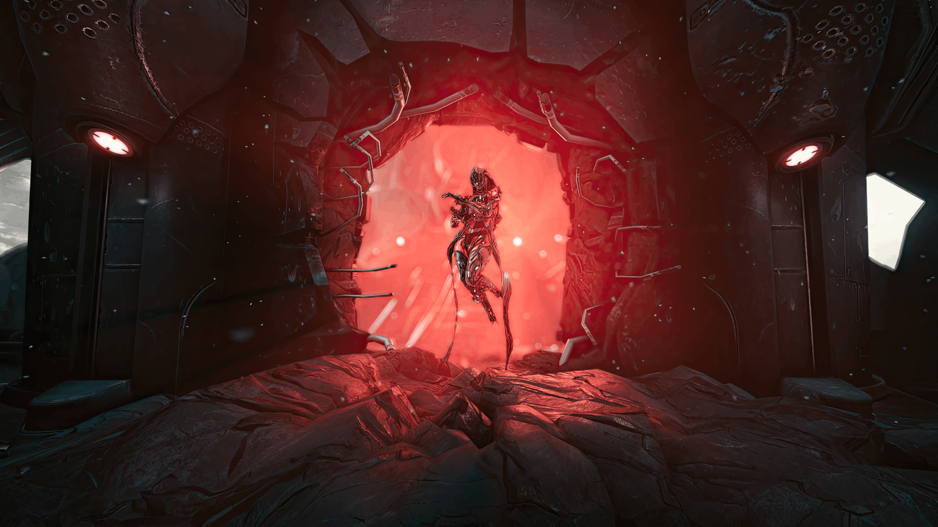 二叉树、二分法