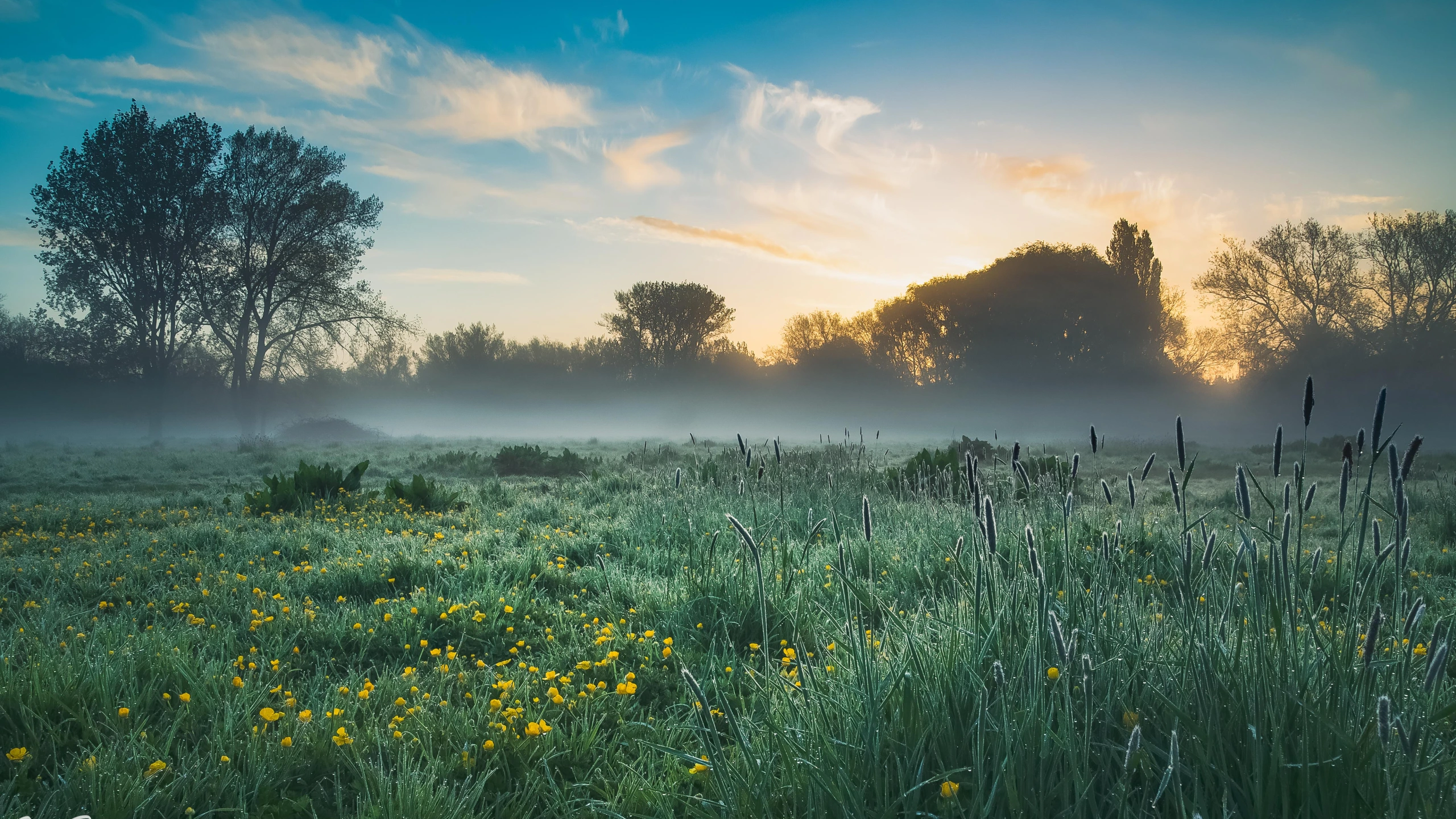 Java Spring Boot 一